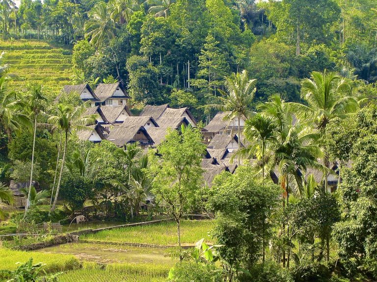 Hutan Rimba Orang Sunda: Terkoyaknya Pola Pikir Benteng Pelindung Alam