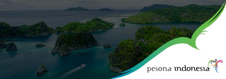 Pendiri Google pun Terpukau dengan Raja Ampat