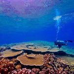 Merayakan Hari Sumpah Pemuda di Teluk Tomini