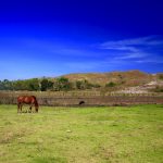 Menangkap Jiwa Alam dalam Foto Landscape