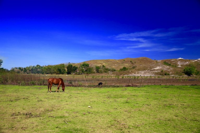 Menangkap Jiwa Alam dalam Foto Landscape