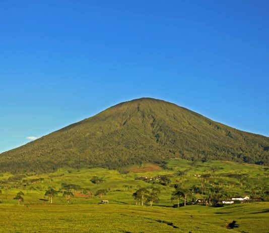 Gunung Dempo: Sensasi Pendakian yang Menantang