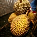 Durian Sinapeul: Terbuai Kenikmatan Kawitwangi