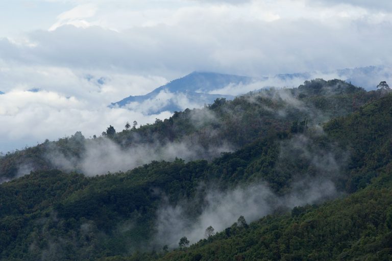 Gunung Kerinci: Ayo Mendaki ke Atap-nya Pulau Sumatera