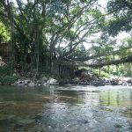 Jembatan Akar Bayang dan Air Terjun Bayang Sani: Kealamian nan Memukau di Pesisir Selatan