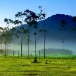Kampung Cai Ranca Upas: Berkemah Menikmati Alam Ciwidey