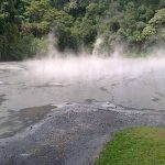 Kawah Kamojang: Sensasi Uap Kawah Gunung Berapi di Cagar Alam