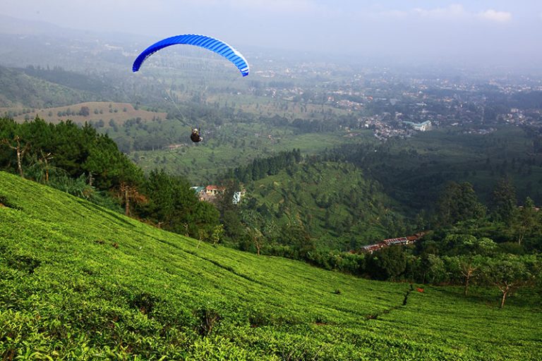 Paralayang di Puncak Bogor: Bagai Melayang di Angin Surga