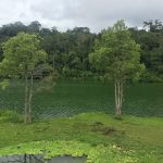 Taman Nasional Bukit Duabelas Jambi: Berinteraksi dengan Suku Anak Dalam