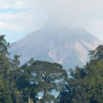 Taman Nasional Kerinci Seblat: Kemegahan Hutan Lebat yang Terlindungi di Pulau Sumatera