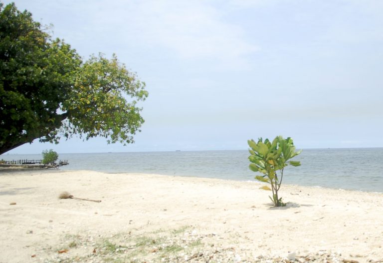 Pulau Bidadari: Mengintip Pesona Alam dari Balik Benteng