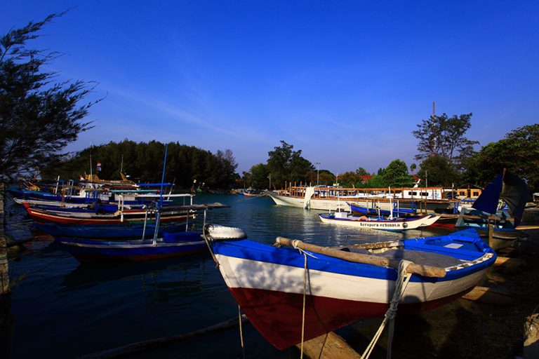 Pulau Pramuka: Berwisata Bahari Sembari Mengamati Penyu Sisik