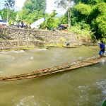 Balanting Paring: Mengarung Seru di Aliran Sungai Amandit yang Menghijau Lebat