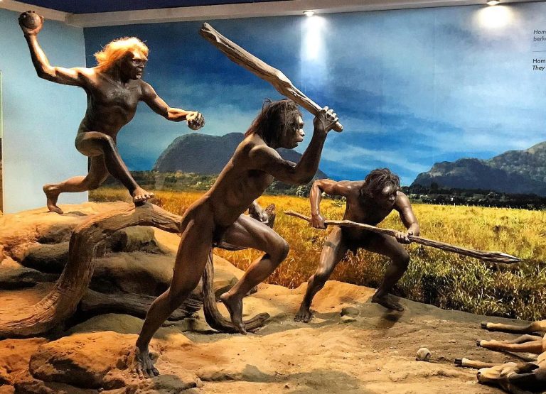 Sangiran: Situs dan Museum Manusia Purba di Lembah Bengawan Solo