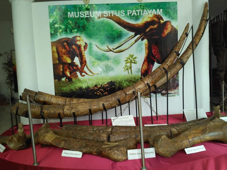 Patiayam: Situs Istimewa di Gunung Muria