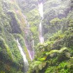Air Terjun Madakaripura: Menelusuri Tempat Meditasi Terakhir Gajah Mada
