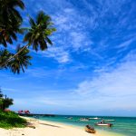 Kalimantan Timur: Beyond your Dreams