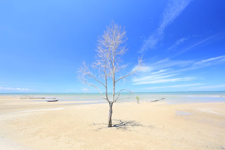 Pantai Amal Tarakan: Senja di Kota Minyak