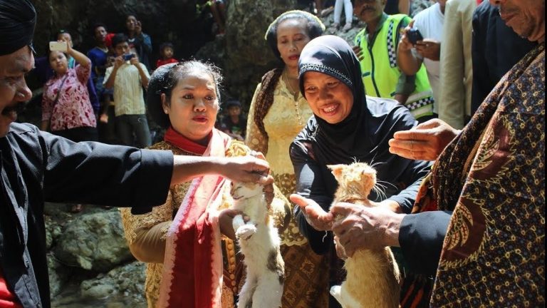 Manten Kucing: Tradisi Meminta Hujan di Tulungagung
