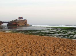 Pantai Kukup: Akuarium Alam dan Pantai yang Indah