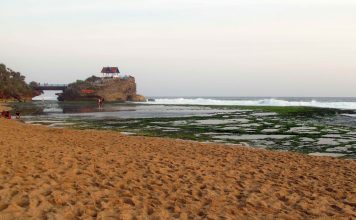 Pantai Kukup: Akuarium Alam dan Pantai yang Indah