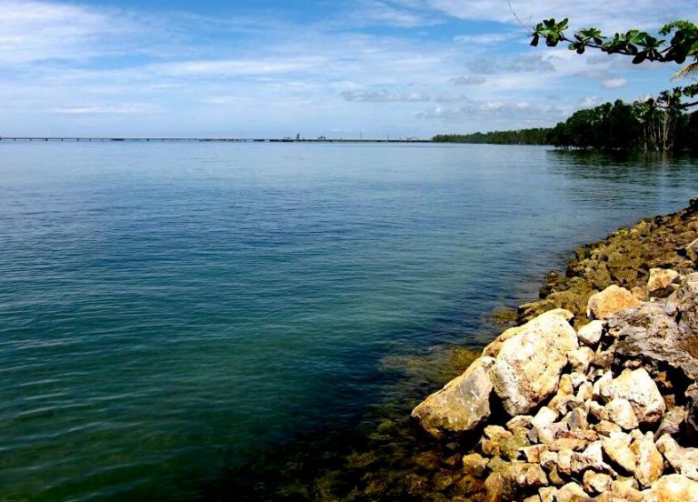 Pantai Tanjung Bara Aquatic