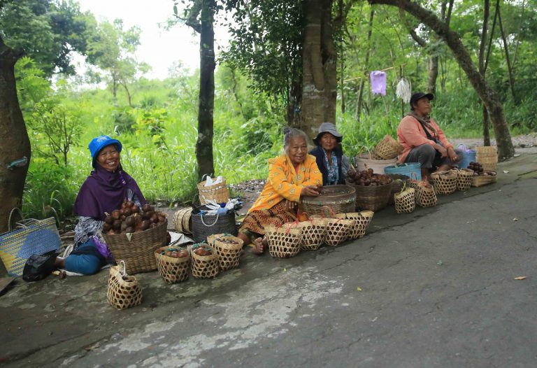 Sleman: Mengunjungi Desa Wisata dan Membeli Salak Pondoh