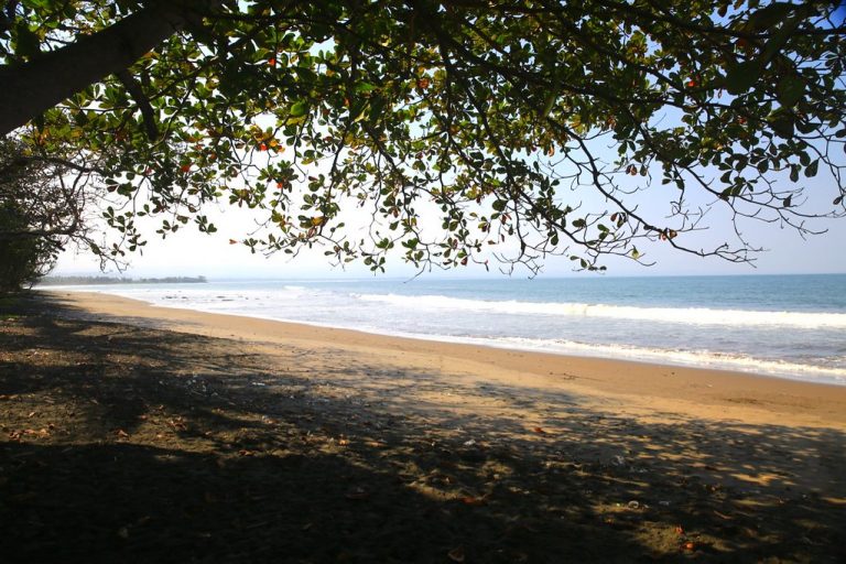 Taman Wisata dan Cagar Alam Pangandaran: Hutan Kecil Warisan Residen Priangan Eycken