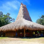 Desa Prailiu: Menengok Budaya Marapu di Tanah Sumba