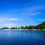 Taman Laut 17 Pulau Riung: Singgah untuk Melihat Kelinci Laut Raksasa Merah