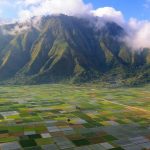 cropped-Desa-Sembalun-Lawang-Gerbang-Indah-Menggapai-Langit-ke-Puncak-Rinjani-@himsaifanah.jpg