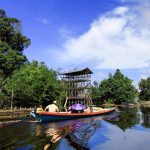 Cagar Alam Bukit Kelam Sintang: Hutan Penuh Keajaiban