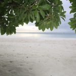 Pantai Ngurbloat: Menikmati Hamparan Pasir Lembut di Maluku Tenggara