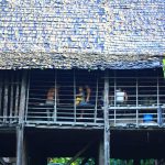 Rumah Betang di Sungai Kapuas: Kearifan Lokal Suku Dayak