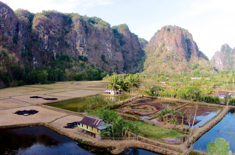 Taman Nasional Bantimurung Bulusaurung: The Kingdom of Butterfly