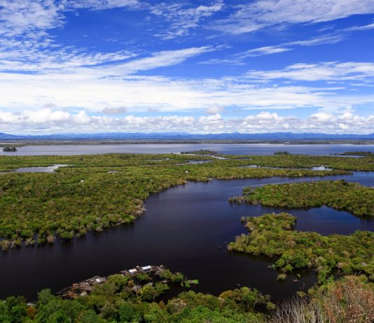 Lake Sentarum National Park: Amazing Floating Forest