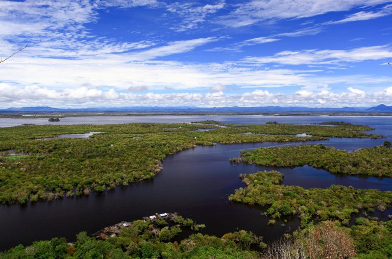 Lake Sentarum National Park: Amazing Floating Forest